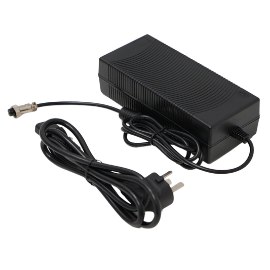 Charger for Mini Kart